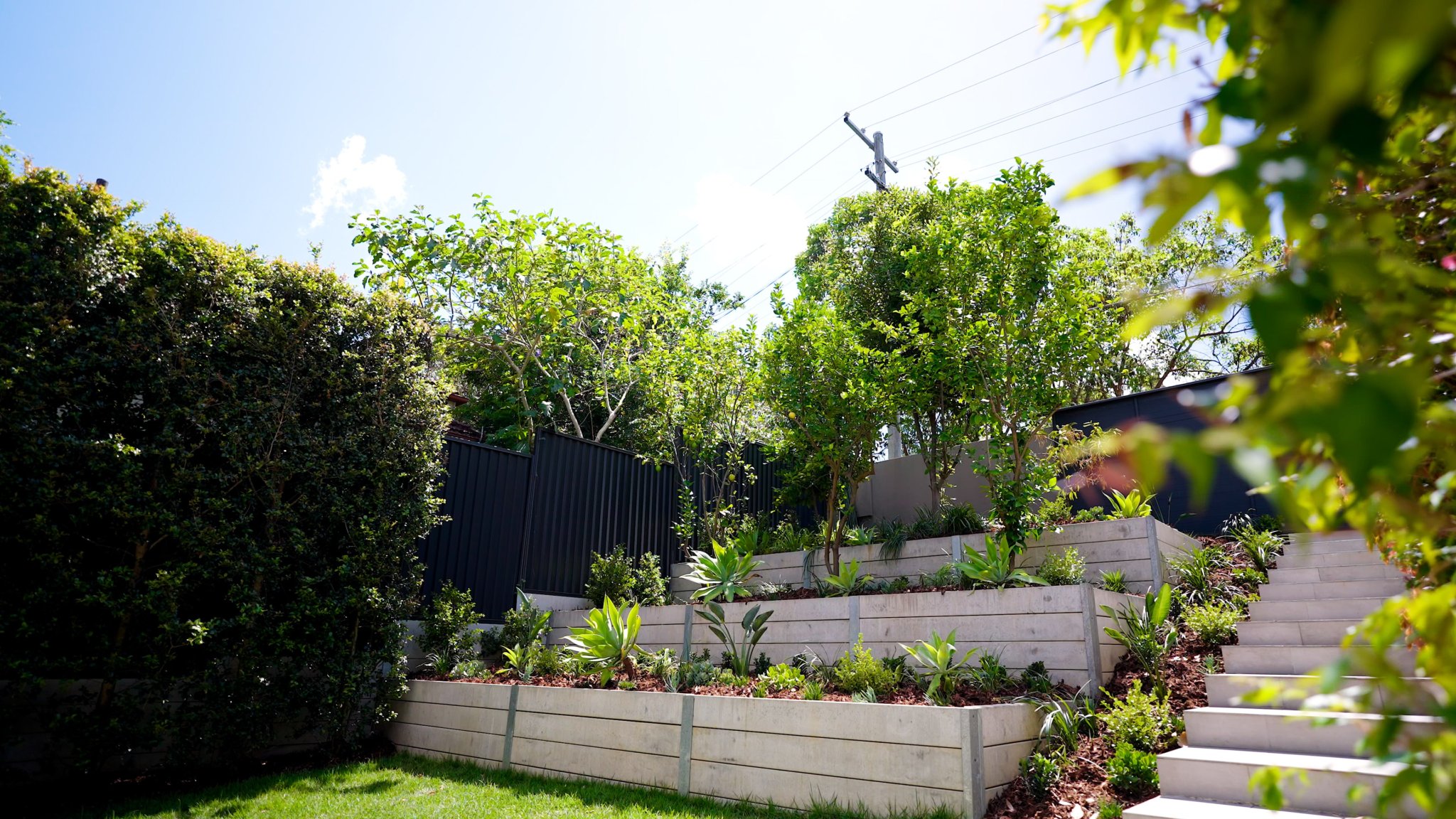 LANDSCAPE (TOOWONG).00_15_29_00.Still015-min